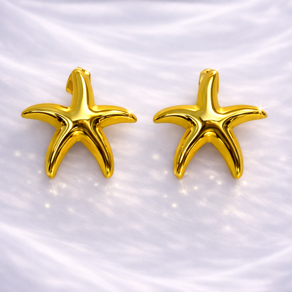 Pendientes estrella de mar